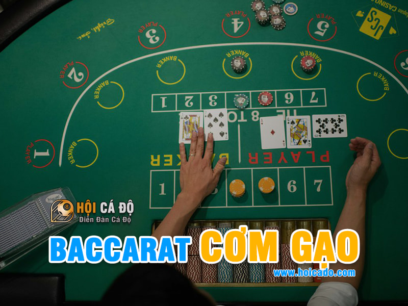 Có nên tin vào nhóm Baccarat cơm gạo ?