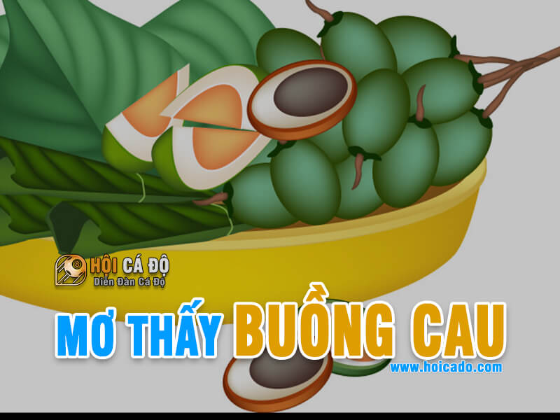 Mơ Thấy Buồng Cau đánh con gì ?