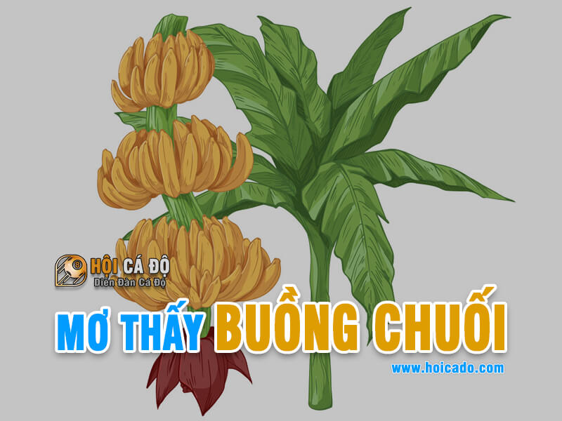 Mơ Thấy Buồng Chuối đánh con gì ?