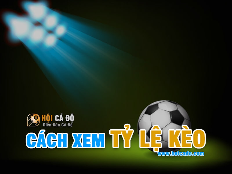 Cách xem tỷ lệ kèo Châu Á