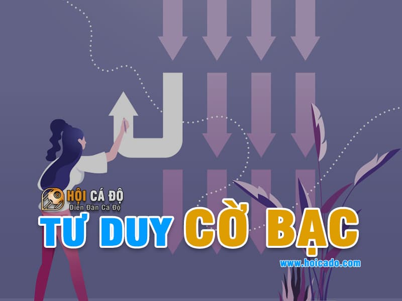 Tư duy cờ bạc để luôn chiến thắng